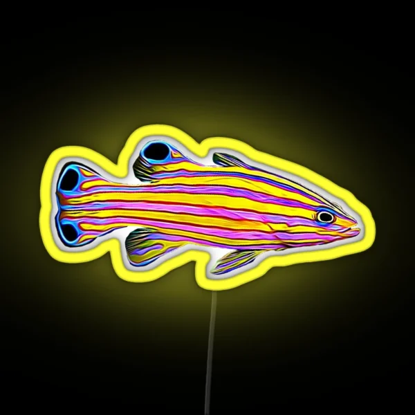 Candy Basslet Reef Fish RGB Neon Sign