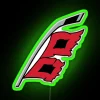 Carolina Hurricanes Alternative Logo RGB Neon Sign - Image 3