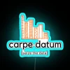 Carpe Datum Seize The Data RGB Neon Sign - Image 3