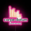 Carpe Datum Seize The Data RGB Neon Sign - Image 6