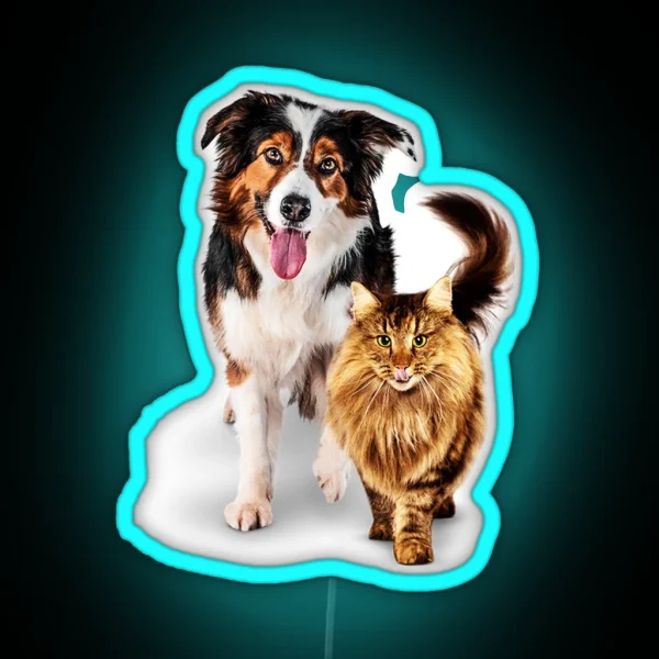 Cat And Dog RGB Neon Sign