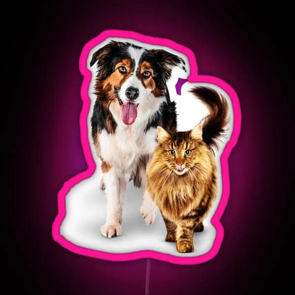Cat And Dog RGB Neon Sign