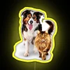 Cat And Dog RGB Neon Sign - Image 5