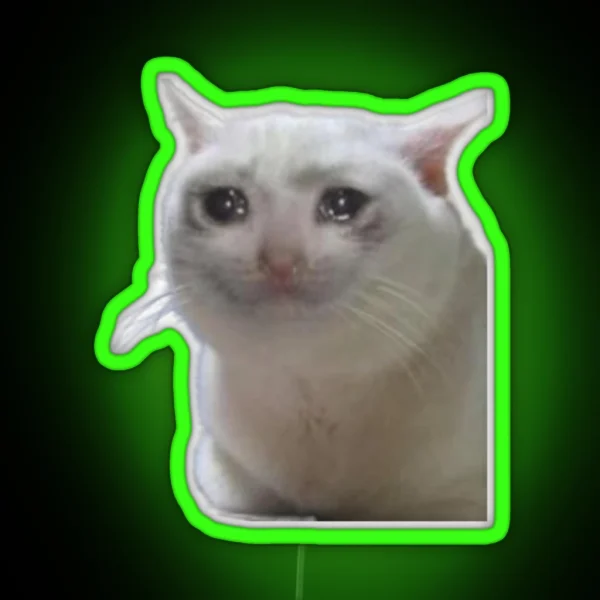 CAT CRYING MEME RGB Neon Sign