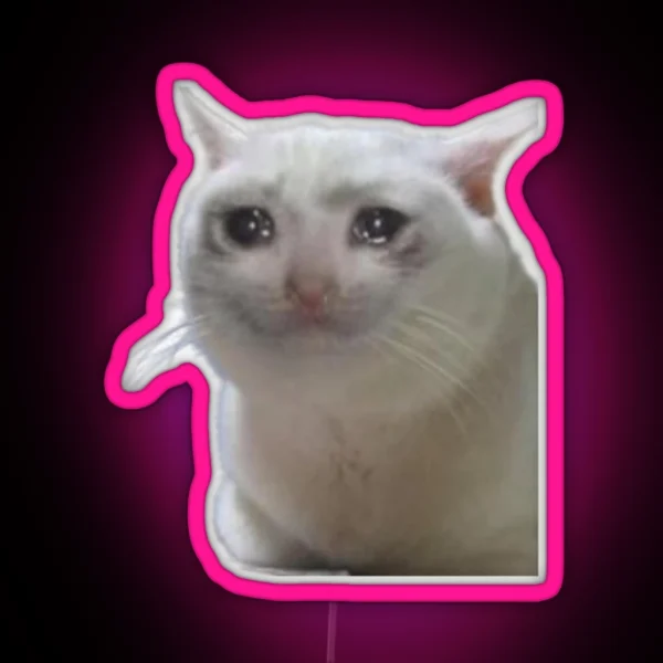 CAT CRYING MEME RGB Neon Sign
