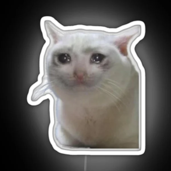 CAT CRYING MEME RGB Neon Sign