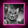 Cat Encounter Alien Selfie RGB Neon Sign - Image 6