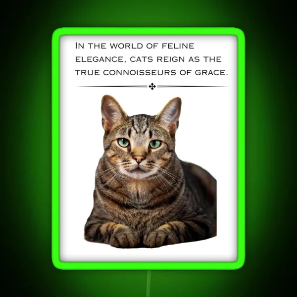 Cat Motivation RGB Neon Sign