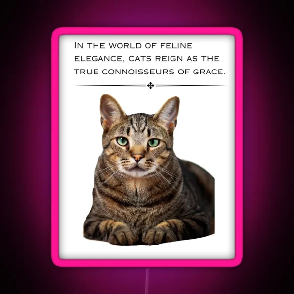 Cat Motivation RGB Neon Sign