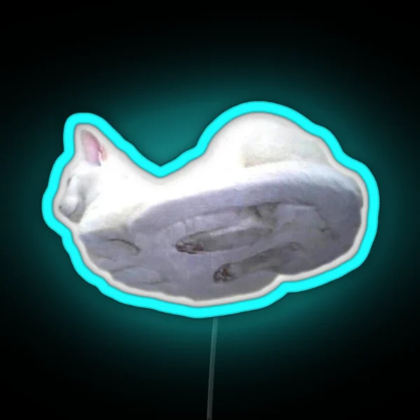 Cat On Glass RGB Neon Sign