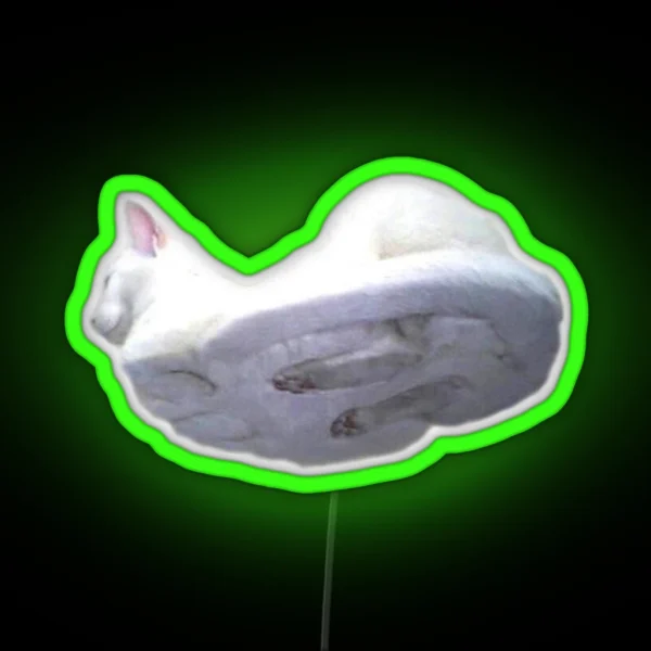 Cat On Glass RGB Neon Sign