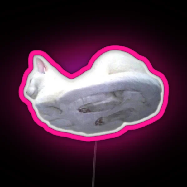 Cat On Glass RGB Neon Sign