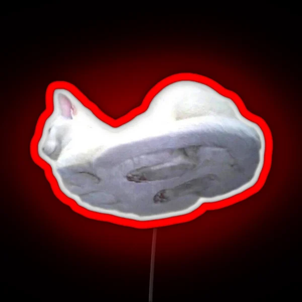 Cat On Glass RGB Neon Sign