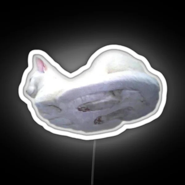 Cat On Glass RGB Neon Sign