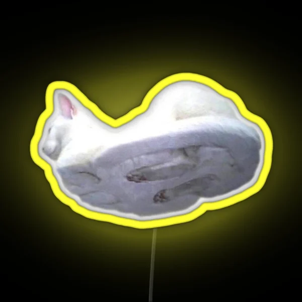 Cat On Glass RGB Neon Sign