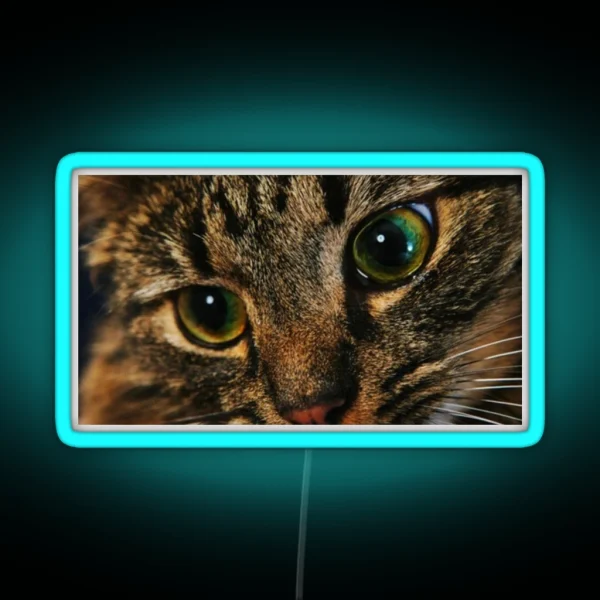 Cat RGB Neon Sign