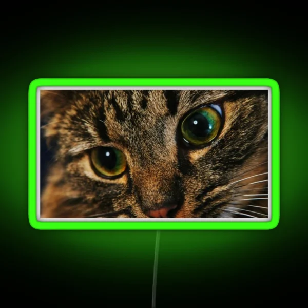 Cat RGB Neon Sign