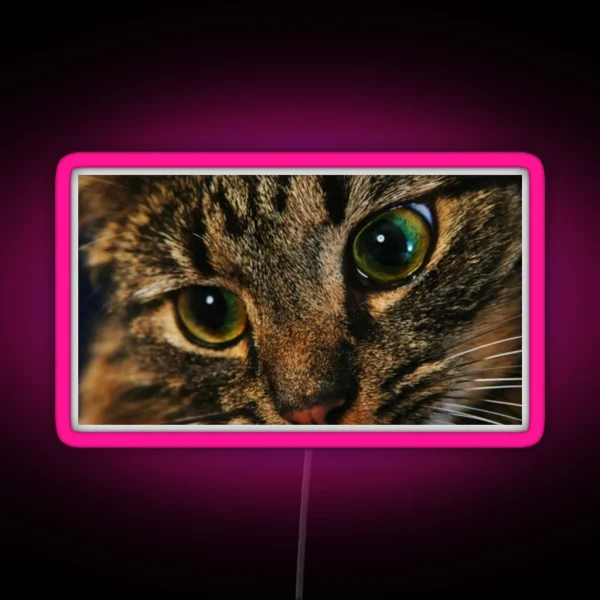 Cat RGB Neon Sign