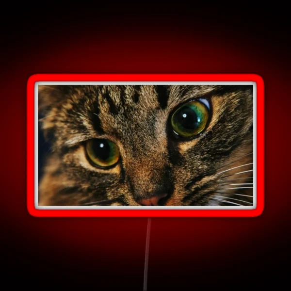 Cat RGB Neon Sign