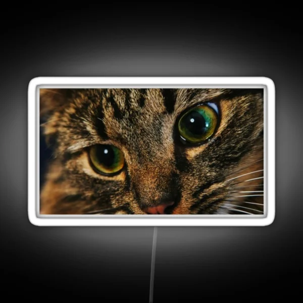 Cat RGB Neon Sign