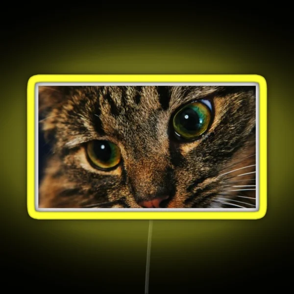 Cat RGB Neon Sign