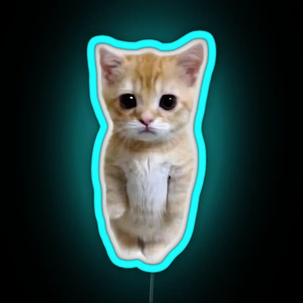 Cat RGB Neon Sign