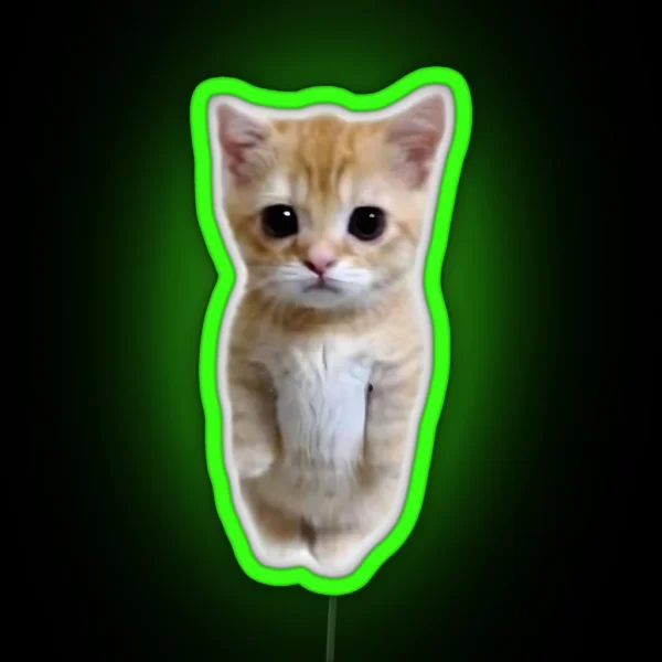 Cat RGB Neon Sign