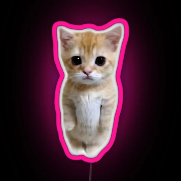 Cat RGB Neon Sign