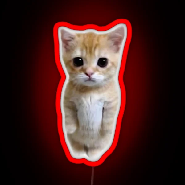 Cat RGB Neon Sign
