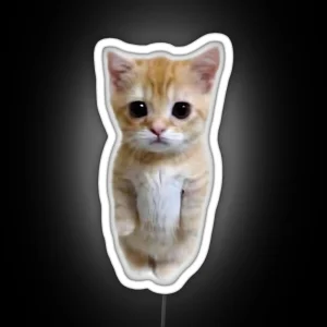 Cat RGB Neon Sign
