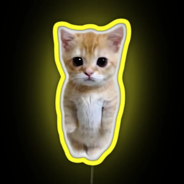 Cat RGB Neon Sign