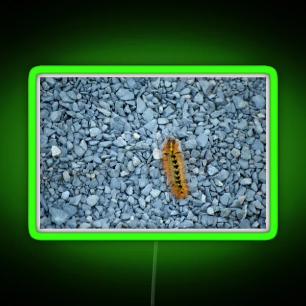 Caterpillar On Walkway RGB Neon Sign