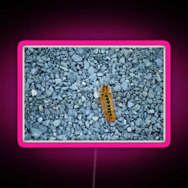 Caterpillar On Walkway RGB Neon Sign