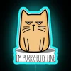 Cattitude RGB Neon Sign - Image 3