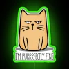 Cattitude RGB Neon Sign - Image 4