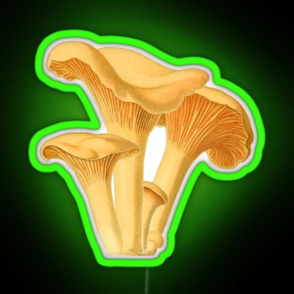 Chanterelle Mushroom Vintage Botanical Illustration RGB Neon Sign