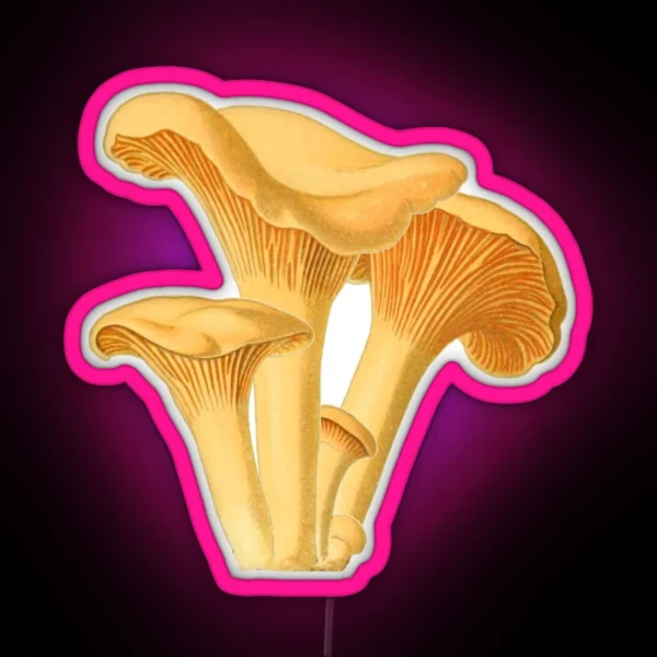 Chanterelle Mushroom Vintage Botanical Illustration RGB Neon Sign