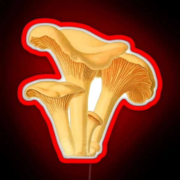 Chanterelle Mushroom Vintage Botanical Illustration RGB Neon Sign