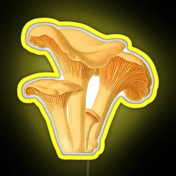 Chanterelle Mushroom Vintage Botanical Illustration RGB Neon Sign