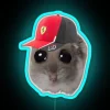 Charles Leclerc Crying Rat Led RGB Neon Sign - Image 3