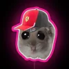 Charles Leclerc Crying Rat Led RGB Neon Sign - Image 6