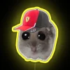 Charles Leclerc Crying Rat Led RGB Neon Sign - Image 5