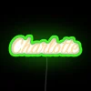 Charlotte Neutral RGB Neon Sign - Image 4
