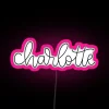 Charlotte North Carolina RGB Neon Sign - Image 6