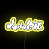 Charlotte North Carolina RGB Neon Sign - Image 5