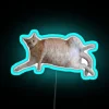 Chubby Kitty 1 RGB Neon Sign - Image 3