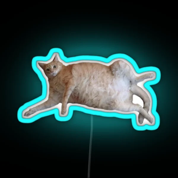 Chubby Kitty 1 RGB Neon Sign
