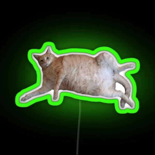 Chubby Kitty 1 RGB Neon Sign