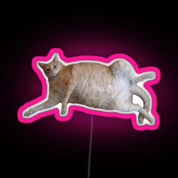 Chubby Kitty 1 RGB Neon Sign