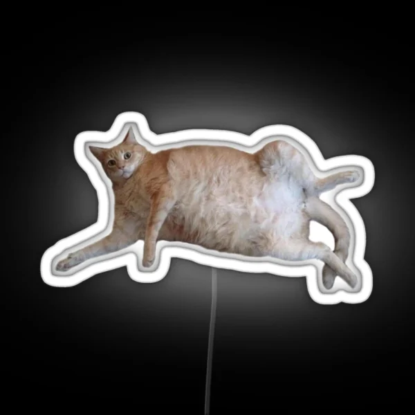 Chubby Kitty 1 RGB Neon Sign